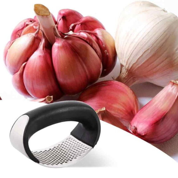 Stainless Steel Garlic Press & Crusher